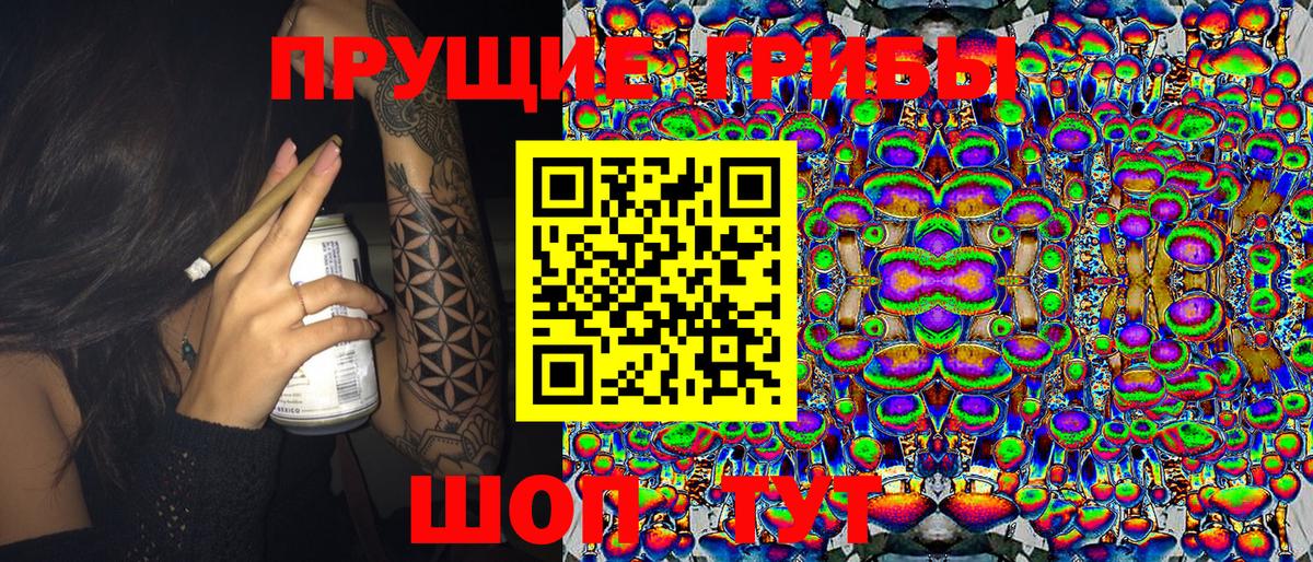 Псилоцибиновые грибы Cubensis Стерлитамак