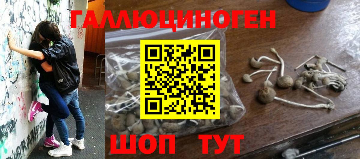 Стерлитамак  Псилоцибиновые грибы Psilocybine cubensis  Вход с VPN  закладка  Псилоцибиновые грибы Psilocybe 